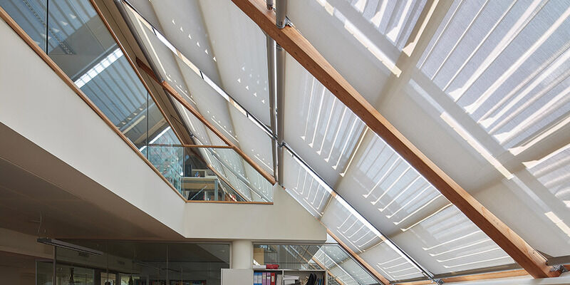 Bureaux du Musée MUSE