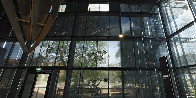 Muséum d\'Histoire Naturelle